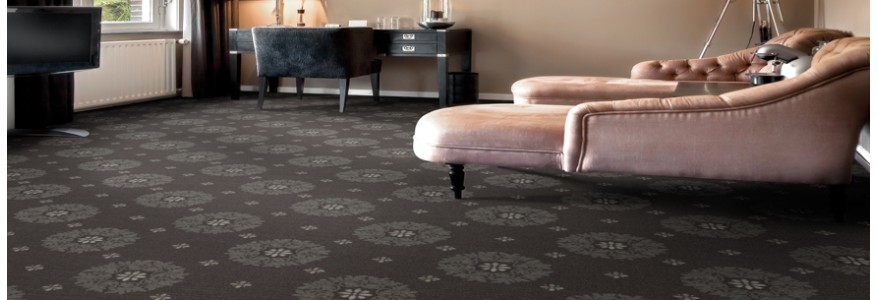 Nelson * 240 mp | Arc Edition | Suite Symphony